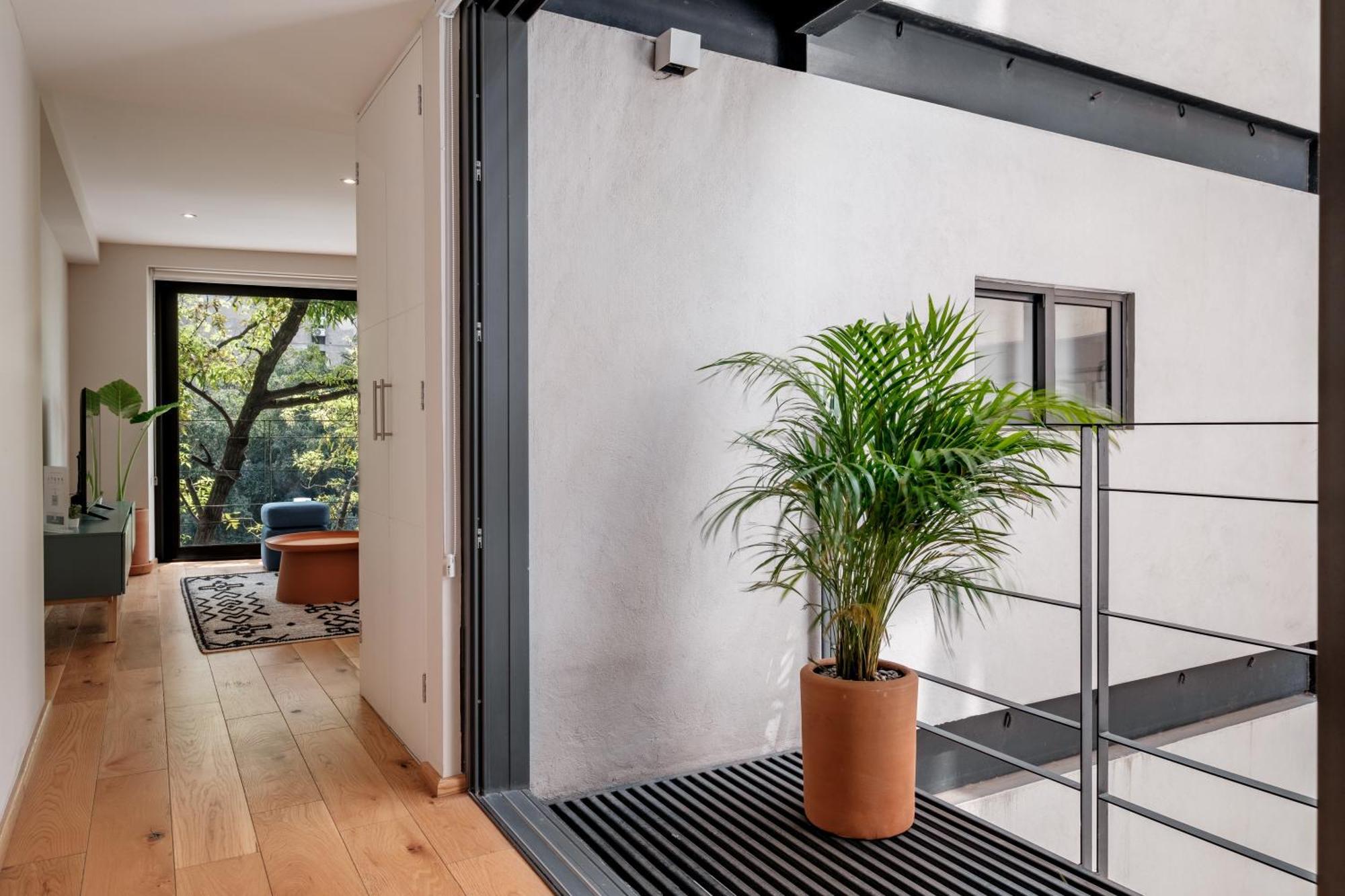 Modern Apartments La Condesa Pet Friendly メキシコシティ エクステリア 写真